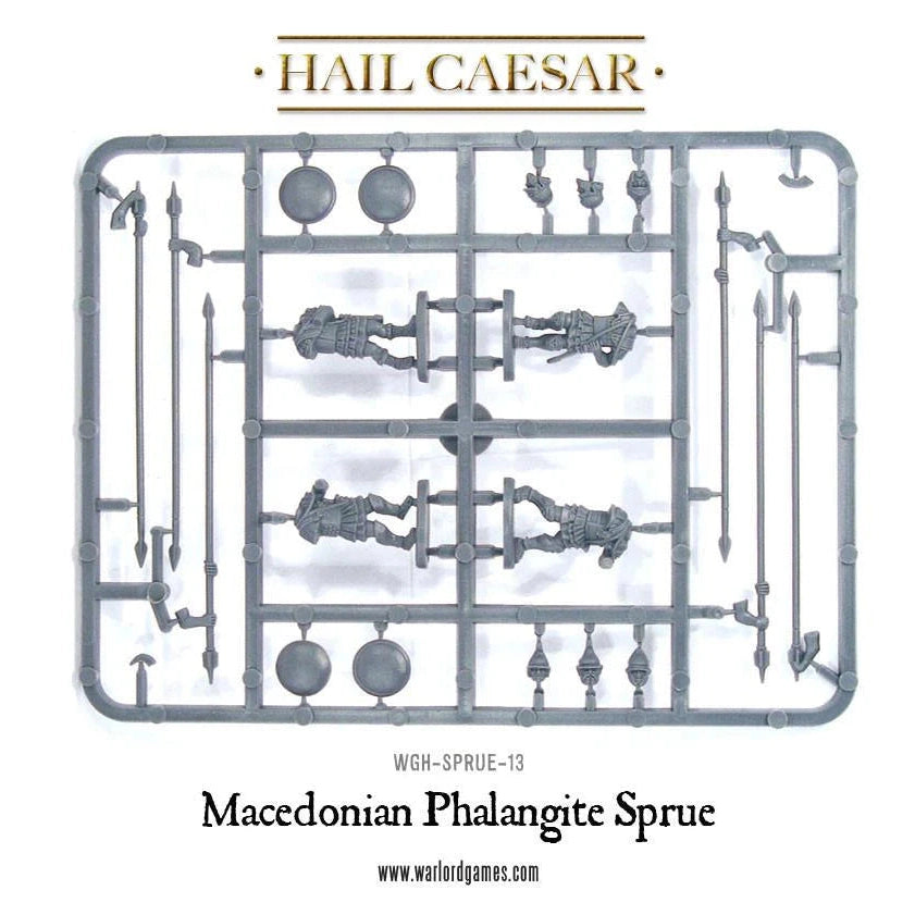 Hail Caesar | Macedonian Phalangites | 28mm Plastic Unit