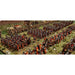 Victrix | Ancients Early Imperial Roman Legionaries Advancing | 28mm Plastic Unit | North Star Games | Miniature Kingdoms