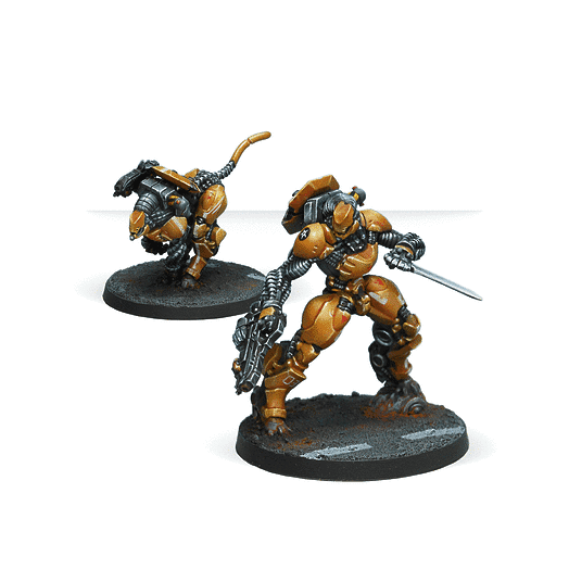 Infinity | Yu Jing | Immediate Action Unit | 28mm Unit