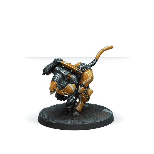Infinity | Yu Jing | Immediate Action Unit | 28mm Unit