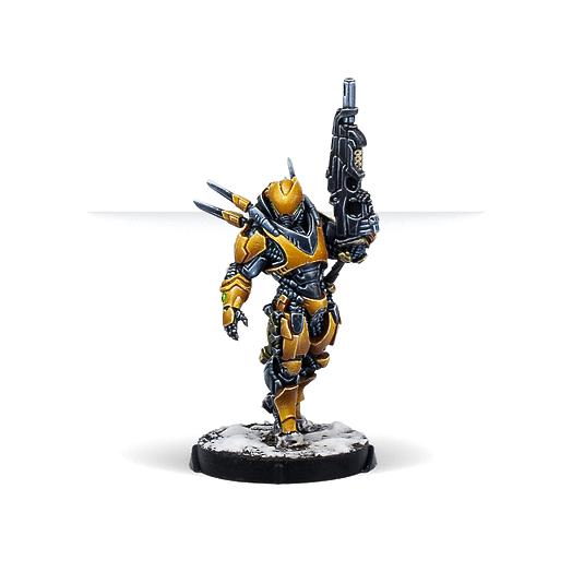 Infinity | Yu Jing | Shang Ji Invincibles | 28mm Metal Unit Box
