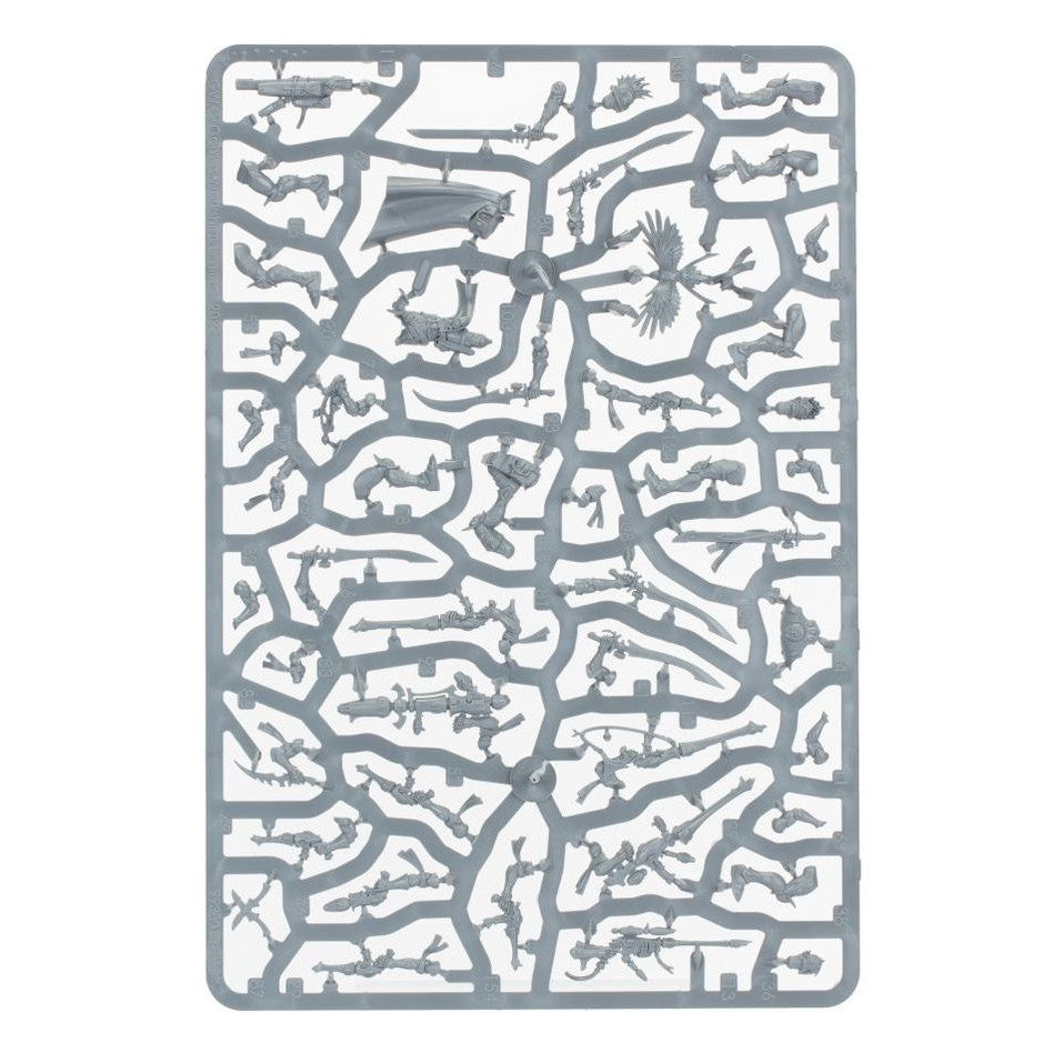 Kill Team | Aeldari | Corsair Voidscarred | Plastic Unit Box