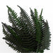 Geek Gaming | Preserved Fern Leaves Small | 28mm Plants