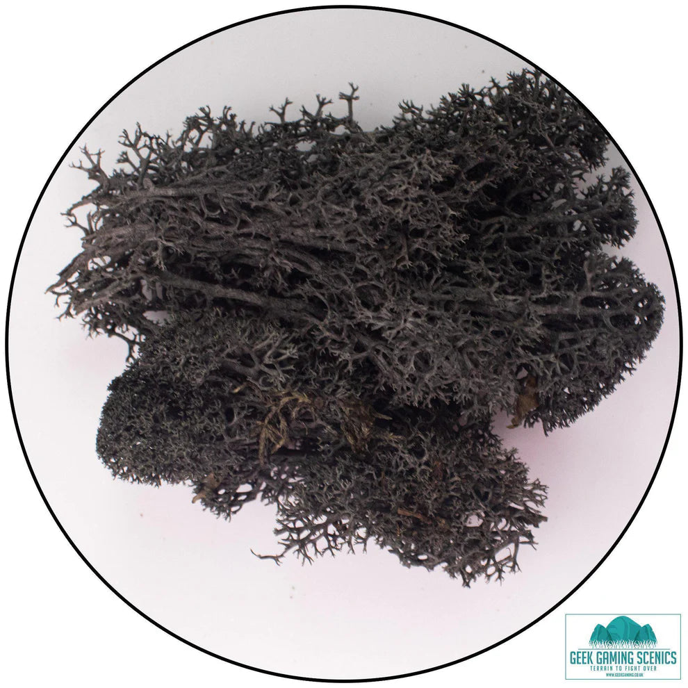 Geek Gaming | Black Lichen | 28mm Lichen | Geek Gaming | Miniature Kingdoms