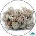 Geek Gaming | Natural Lichen | 28mm Lichen | Geek Gaming | Miniature Kingdoms