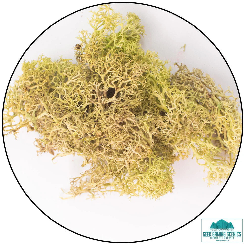 Geek Gaming | Old Green Lichen | 28mm Lichen | Geek Gaming | Miniature Kingdoms