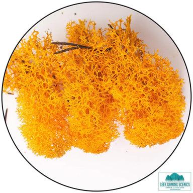 Geek Gaming | Orange Lichen | 28mm Lichen | Geek Gaming | Miniature Kingdoms