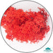 Geek Gaming | Red Lichen | 28mm Lichen | Geek Gaming | Miniature Kingdoms