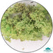 Geek Gaming | Mint Green Lichen | 28mm Lichen | Geek Gaming | Miniature Kingdoms