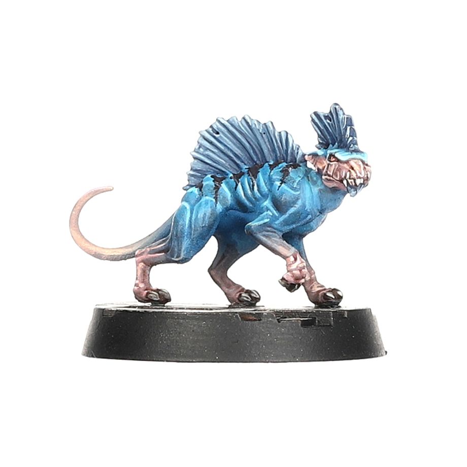 Necromunda | Escher Death-Maidens & Wyld Runners | Plastic Unit Box