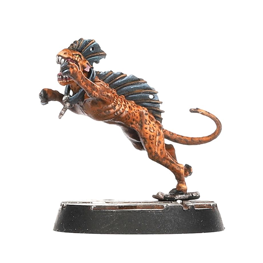 Necromunda | Escher Death-Maidens & Wyld Runners | Plastic Unit Box