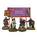 Victrix | Dark Ages Norman Infantry Thirty Model Pack | 28mm Plastic Unit | North Star Games | Miniature Kingdoms