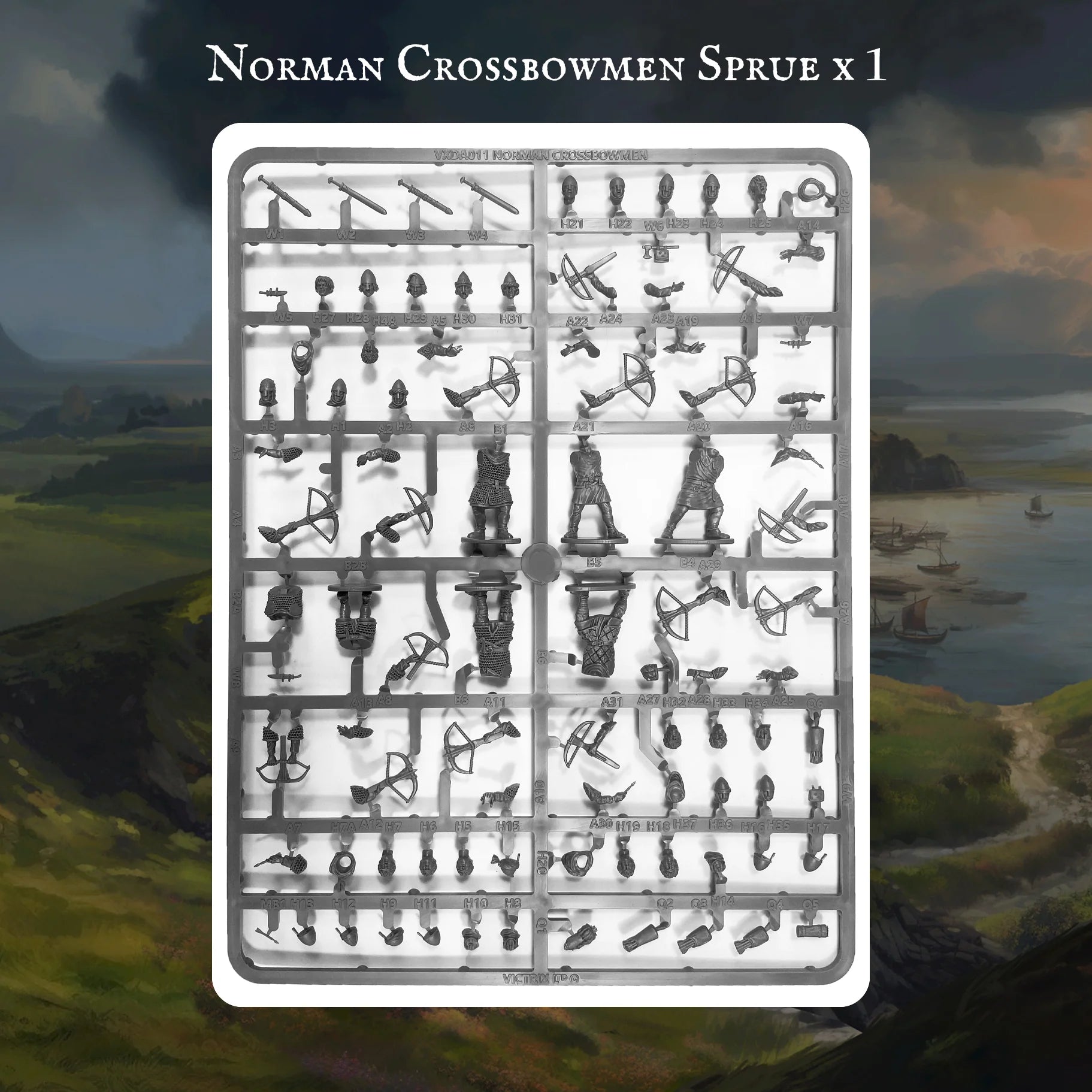 Pillage | Norman Warband | 28mm Plastic Unit