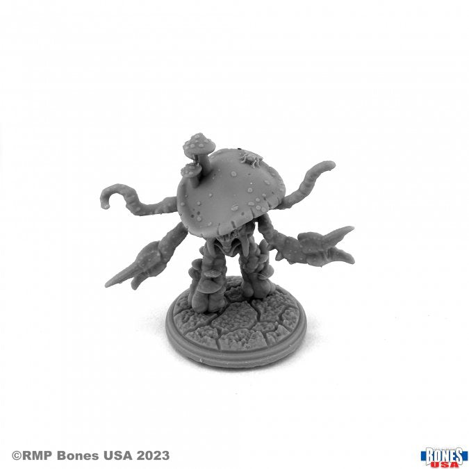 Reaper | Mushroom Men, Fungoids Reaper Legends | 28mm Plastic Blister Pack 30165