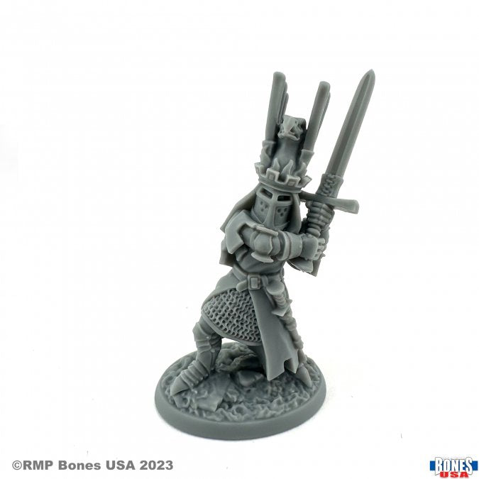 Reaper | Sir James, The Blue Reaper Legends | 28mm Plastic Blister Pack 30155