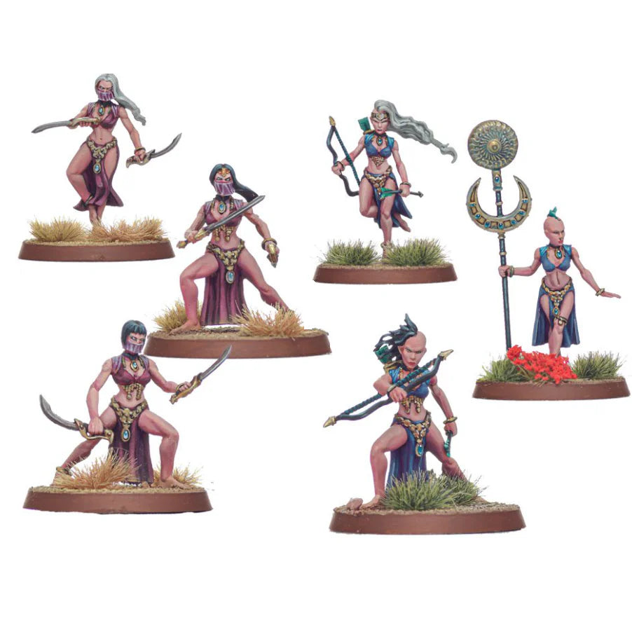 Shieldwolf Miniatures | Aravises Archers / Charemises Swords | 28mm Plastic Unit