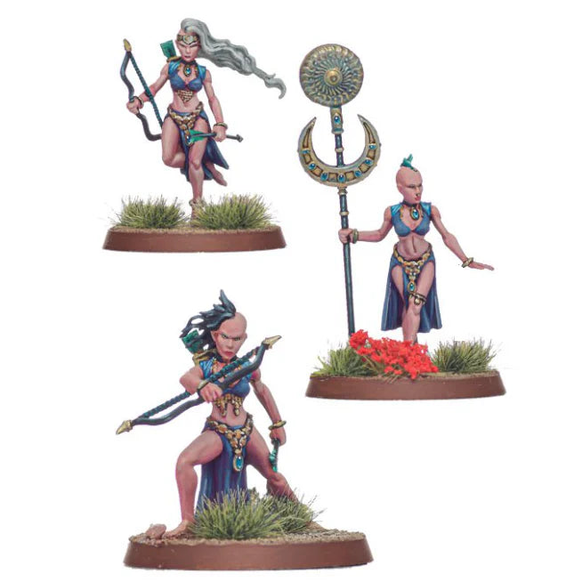 Shieldwolf Miniatures | Aravises Archers / Charemises Swords | 28mm Plastic Unit