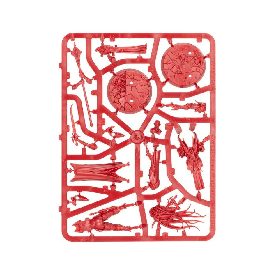 Warcry | Crypt of Blood Starter Set | 2 Player Plastic Starter Box