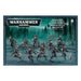 Warhammer 40,000 | Drukhari | Wyches | Plastic Unit Box
