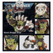 Warhammer 40,000 | Orks | Beast Snagga Boyz | Plastic Unit Box