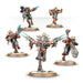 Warhammer 40,000 | Space Marines | Space Wolves | Wulfen | Plastic Unit Box