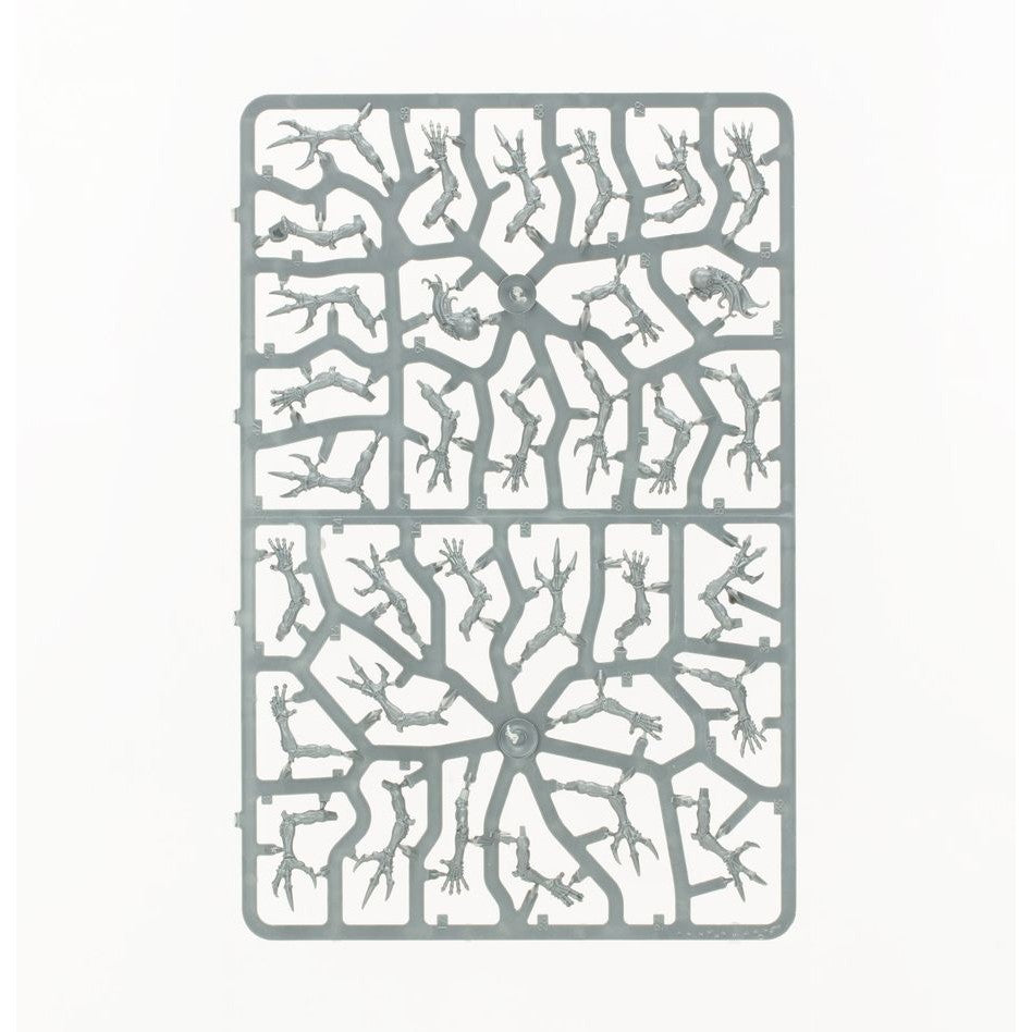 Warhammer 40,000 | Tyranid | Combat Patrol | Tyranid Assault Brood | Plastic Starter Box