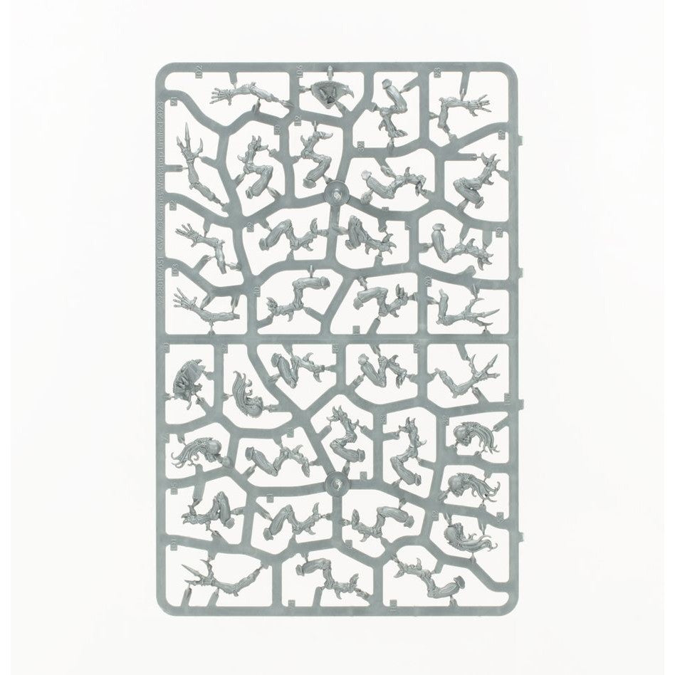 Warhammer 40,000 | Tyranid | Combat Patrol | Tyranid Assault Brood | Plastic Starter Box