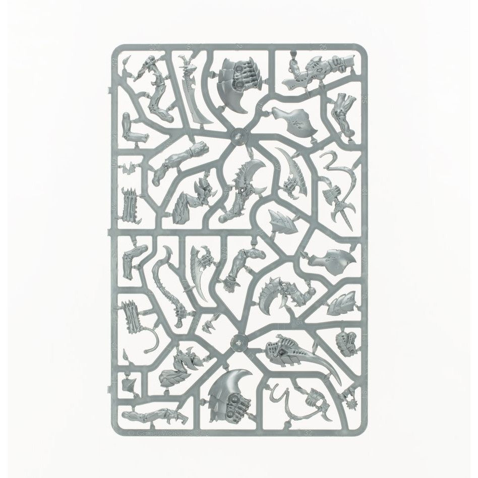 Warhammer 40,000 | Tyranid | Combat Patrol | Tyranid Assault Brood | Plastic Starter Box