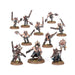 Warhammer 40,000 | World Eaters | Jakhals | Plastic Unit Box