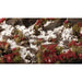Wild Flowers | Laliguras Flowers Red | Tufts | GGFS-LAL