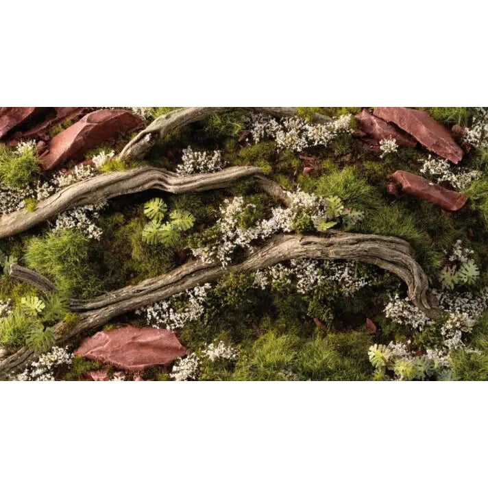 Wild Flowers | White Rose Flowers White | Tufts | GGFS-WR