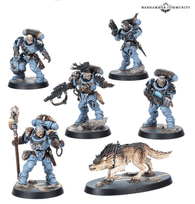 Kill Team | Space Wolves | Wolf Scouts | Plastic Unit Box