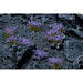 Gamers Grass | Scenics Wild Violet Flowers | Basing Tufts | GGF-VI | North Star Games | Miniature Kingdoms