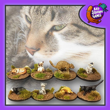 Kitties | 28mm Metal Blister Pack