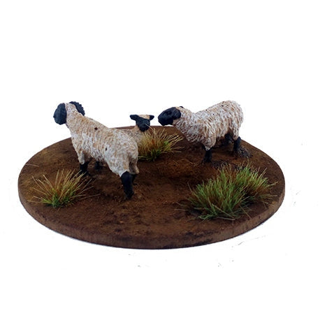 Dead Man's Hand | Flock Of Sheep | 28mm Metal Blister Pack | North Star Games | Miniature Kingdoms